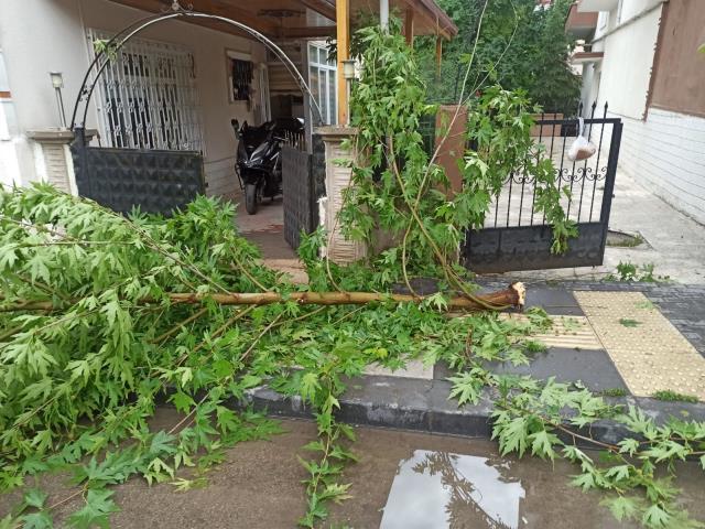 Ankara yine sele teslim! Araçlar suya gömüldü, binaların çatısı uçtu