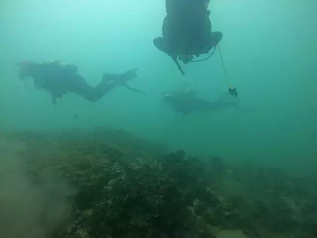 Van Gölü canavarı efsanesiyle özdeşleşen bölgede yeni bir balık türü keşfedildi