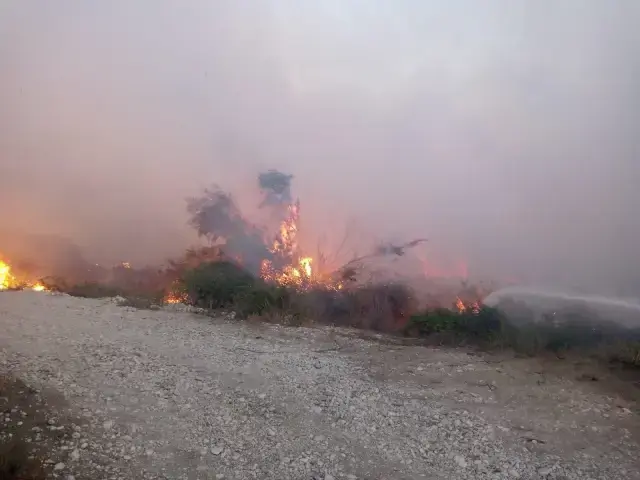 Antalya'da zeytinlik ve sazlık alanda yangın çıktı! Çok sayıda ekip bölgeye sevk edildi