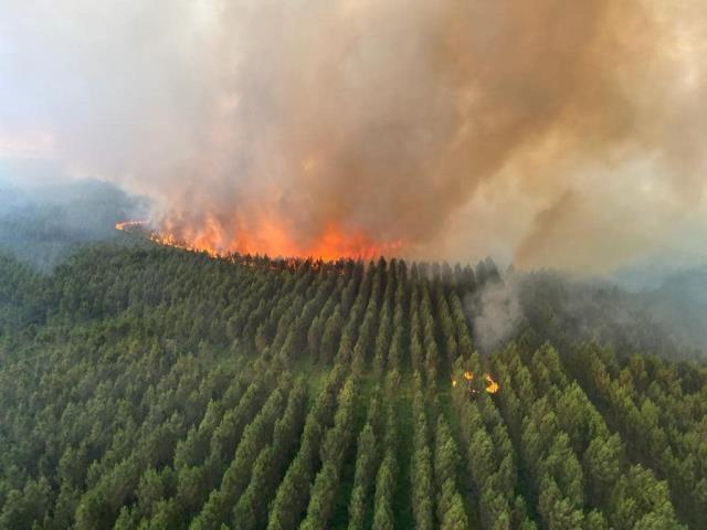 Fransa'daki orman yangınları söndürülemiyor! Binlerce hektar arazi küle döndü