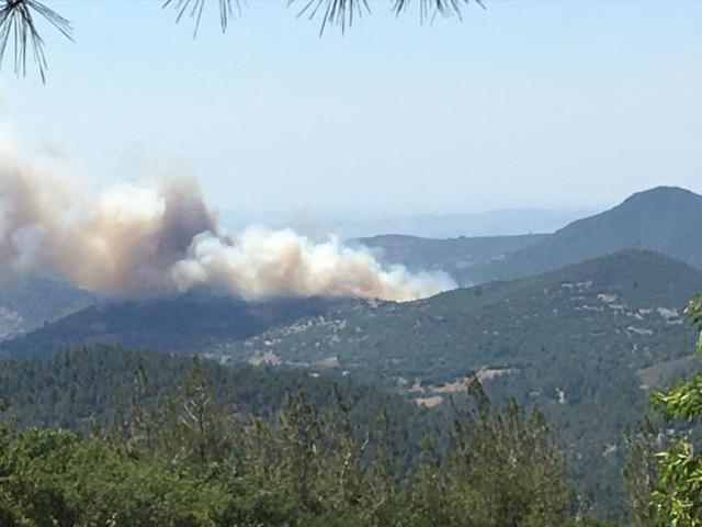 Balıkesir'deki yangınla ilgili yetkililer tek ihtimal üzerinde duruyor: Enerji nakil hatlarından kaynaklı olabilir