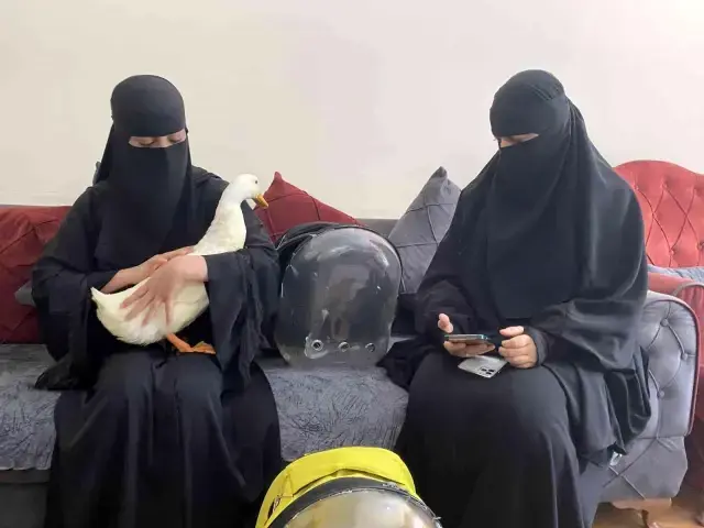 Bahçeşehir'deki ördekleri çantasına koydukları iddia edilen kadın yaşananları anlattı