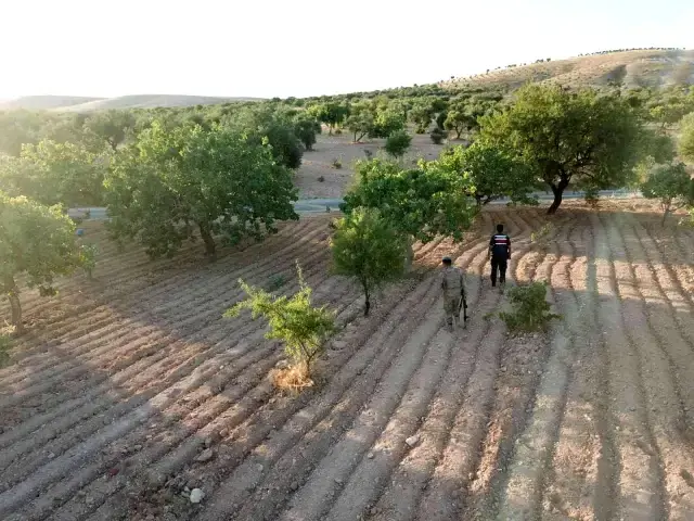 Jandarma fiyatı cep yakan antepfıstığını korumak için yol boyu nöbet tuttu