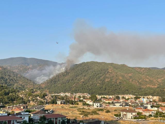 Marmaris'te orman yangını (2)