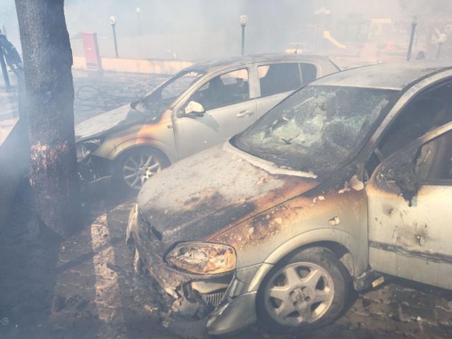 Marmaris'teki orman yangını, kırılan ağaç dalının elektrik tellerini temas ettirmesiyle çıktı