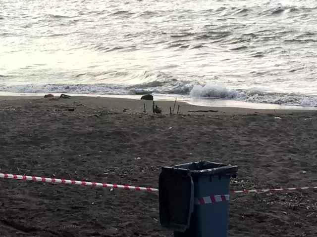 Rus yapımı mayın tetikleyicisi Ordu sahiline vurdu