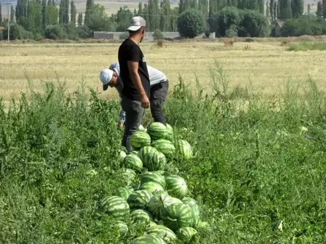Pandemide işsiz kalıp köyüne döndü, şimdi yaptığı iş sayesinde paraya para demiyor