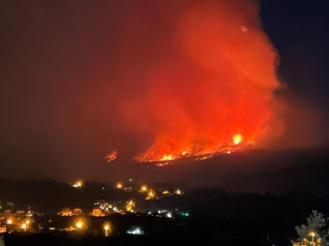 Muğla'da orman yangını! Alevler kısa sürede büyüdü, havadan ve karadan söndürme çalışmaları sürüyor