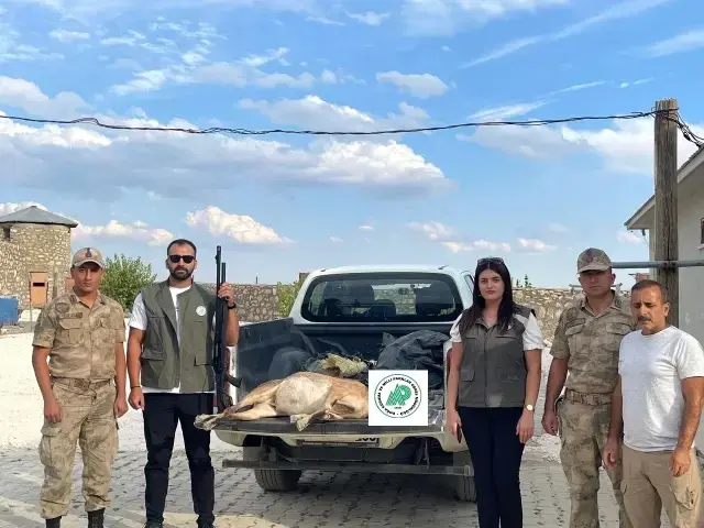 Tunceli'de yaban keçisi avlayan şahsa 253 bin lira ceza