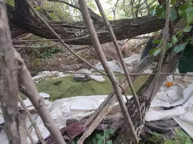 PKK'nın finans kaynağına darbe! Lice'de 630 kilo esrar ele geçirildi