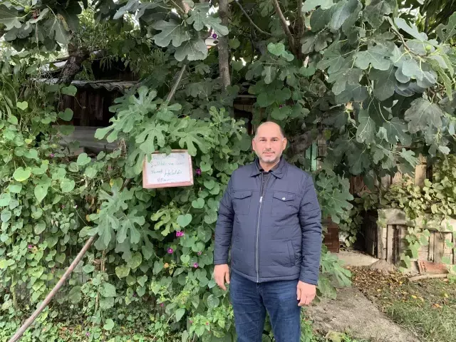 Bahçe sahibinin bir ağacına asıp bıraktığı not, yoldan geçerken gören herkesi duygulandırıyor