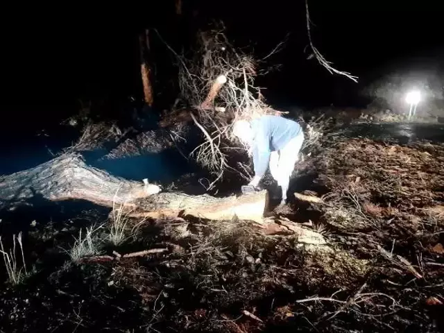 Bodrum'daki yağmurda, 5 saatte metrekareye 41 kilogram yağış düştü