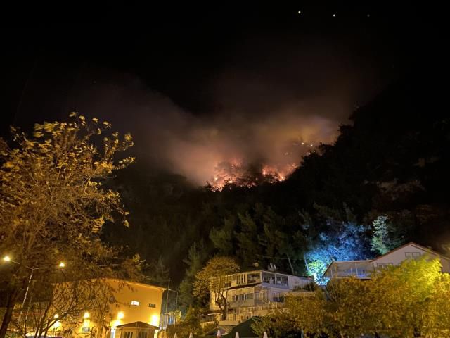 Bartın'da orman yangını: 4 kişi gözaltına alındı