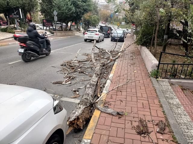 İstanbul'da yağmur ve şiddetli rüzgar başladı