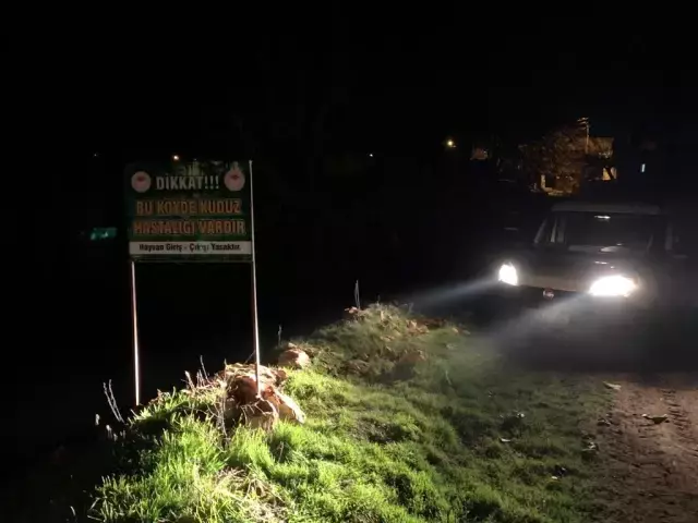 Kuduz paniği yeniden hortladı! 3 köy karantinaya alındı, 6 ay boyunca sürecek