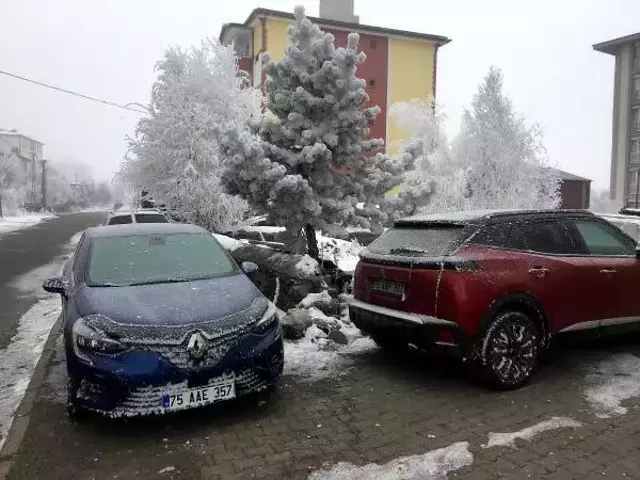 Ardahan eksi 14,8 ile dondu