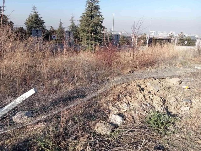 Üniversiteli genç kız trafik kazasında hayatını kaybetti