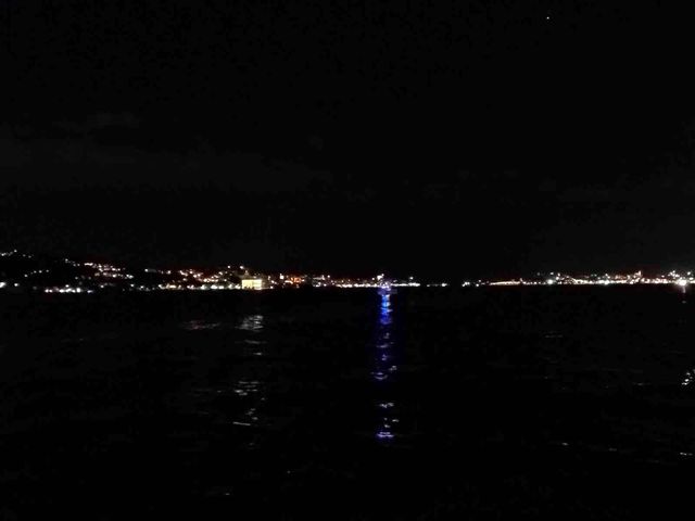 Tüm çabalara rağmen ikna edilemedi! 15 Temmuz Şehitler Köprüsü'nden kendini denize atarak intihar etti