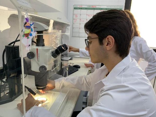 Rize yaylalarında kardan 'mikroplastik' çıktı