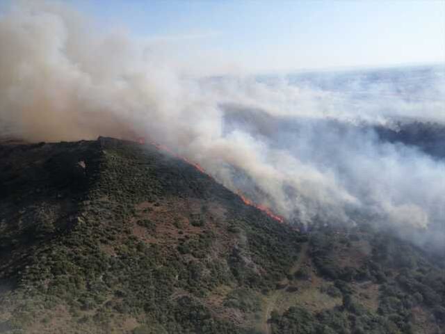 İzmir'de ormanlık alanda çıkan yangına 6 uçakla müdahale sürüyor