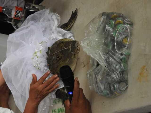 Meksikalı belediye başkanı, timsahla evlendi: Birbirimizi seviyoruz, önemli olan bu