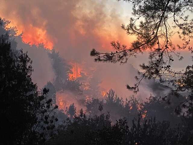 Hatay'daki orman yangını büyümeye devam ediyor