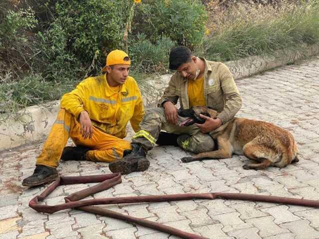 3 ilde orman yangını: Evler yandı, vatandaşlar tahliye edildi, 2 kişi gözaltında