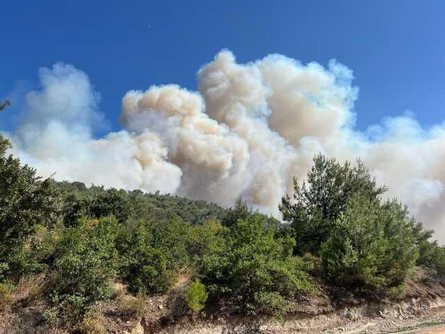 Manisa'da Orman Yangını: Havadan ve Karadan Müdahale Devam Ediyor