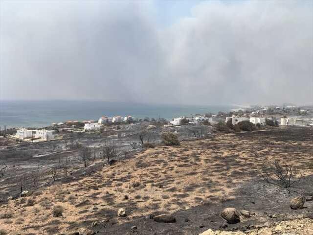 Yunanistan'da Devam Eden Orman Yangınları Kontrol Altına Alınamıyor