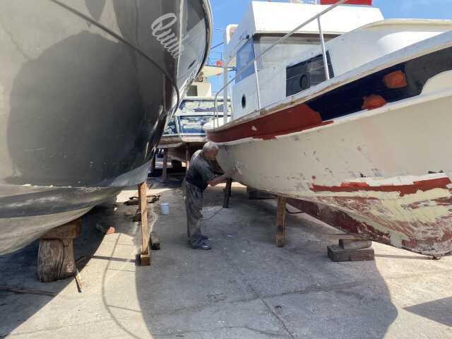 Denizlerde av yasağı 1 Eylül'de kalkıyor! Bu sene palamut, istavrit ve hamsinin bol olması bekleniyor