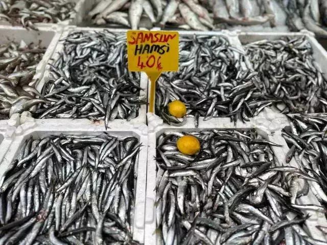 Tezgahlarda hamsi bolluğu! Fiyat 40 liraya kadar düştü