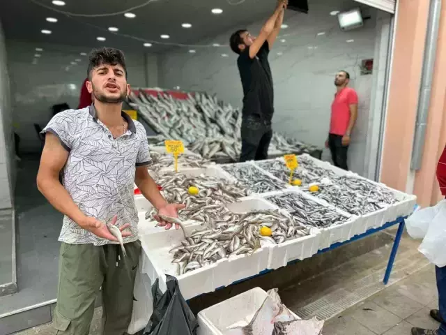 Tezgahlarda hamsi bolluğu! Fiyat 40 liraya kadar düştü