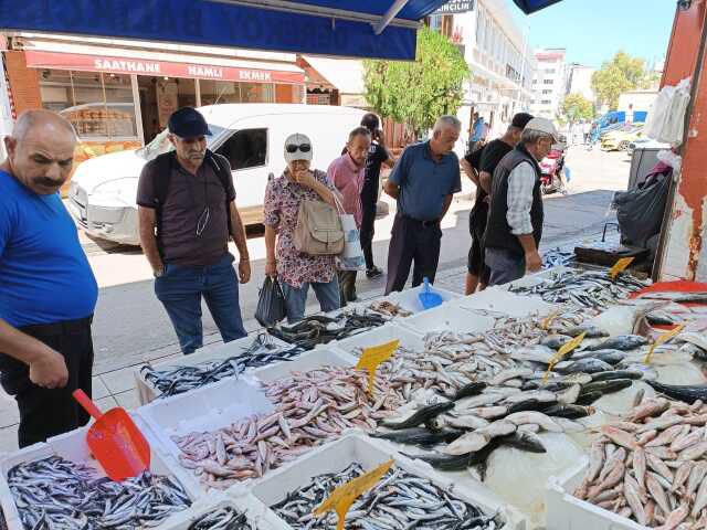 Hamside yaşanan bolluk tezgahlara yansıdı! Kilosu 50 liradan satılıyor