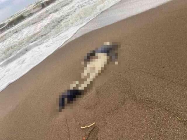 Antalya sahillerinde peş peşe ceset bulunmasıyla ilgili valilikten açıklama geldi