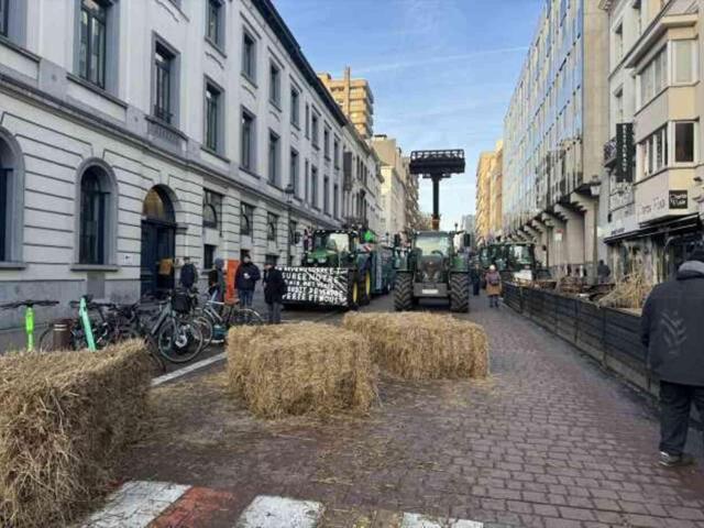 Belçika'da protestolar alevlendi! Çiftçiler Avrupa Parlamentosu'nu kuşattı, ana yollara ulaşılamıyor