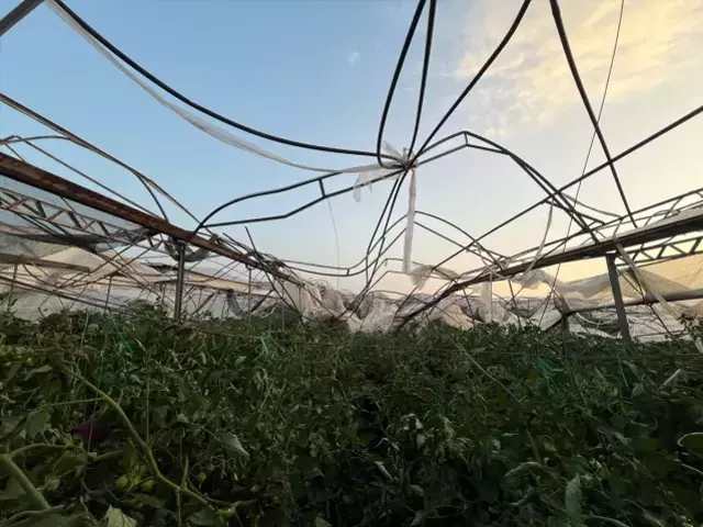 Antalya'da sağanak ve fırtına hayatı olumsuz etkiledi