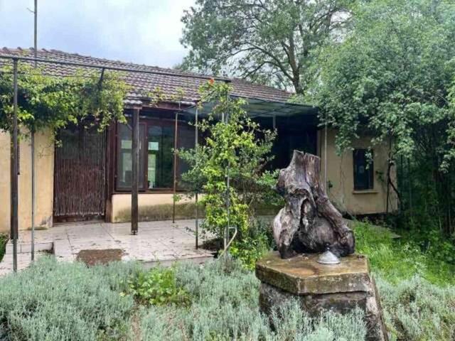 Korhan Berzeg bulundu mu? Korhan Berzeg nerede bulundu, neden öldü?