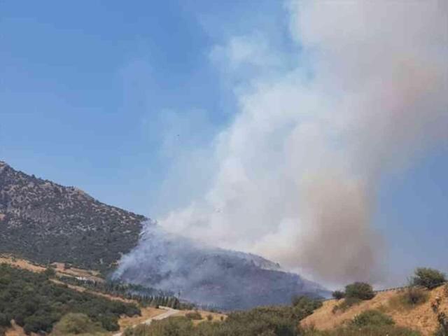 İzmir Selçuk'ta yangın! İzmir'de yangın mı çıktı? Yangın nerede çıktı, ne oldu?