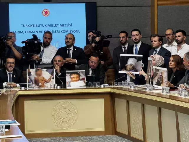 Sokak hayvanları teklifinin komisyon görüşmelerinde gerilim had safhada! İçeride vekiller tartışta, kapıda arbede çıktı