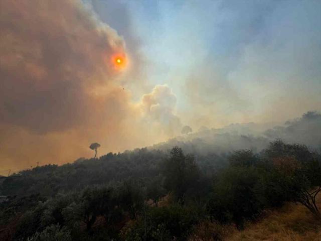 Aydın'da ormanlık alanda başlayan yangın yerleşim yerlerine ulaştı