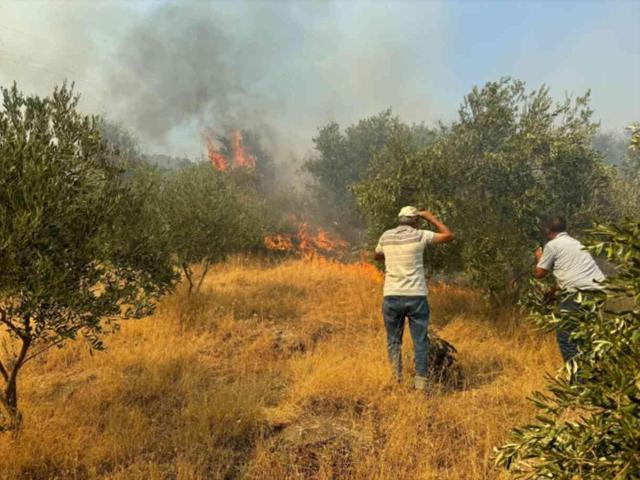 Aydın'da ormanlık alanda başlayan yangın yerleşim yerlerine ulaştı