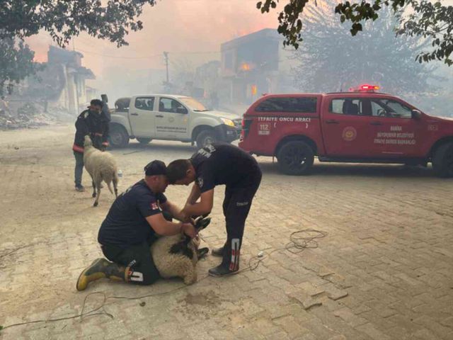 Bakan Yumaklı: İzmir'de 16 ev yandı, 87 ev ve 44 iş yeri tahliye edildi