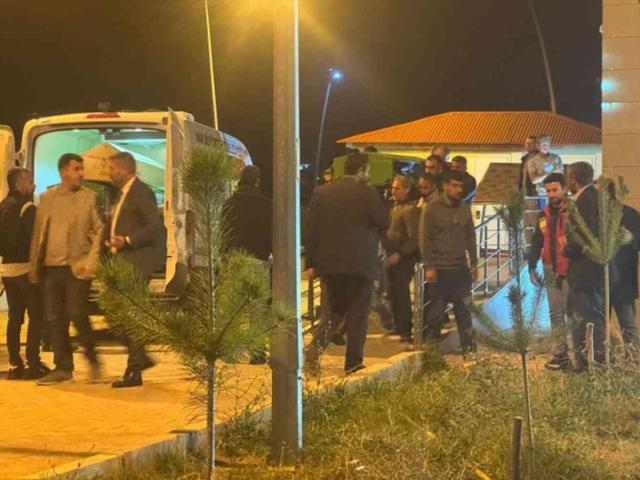 Rojin Kabaiş cinayetinde detaylar! Rojin öldürüldü mü?