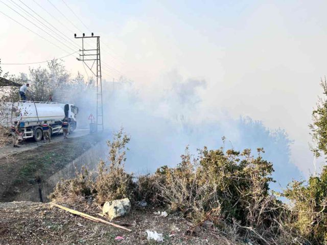 Hatay'da Orman Yangını Evleri Tehdit Ediyor, Destek Talepleri Artıyor