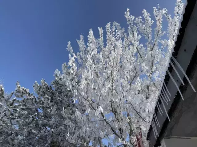 Ardahan'da termometreler eksi 24,8 dereceyi gösterdi