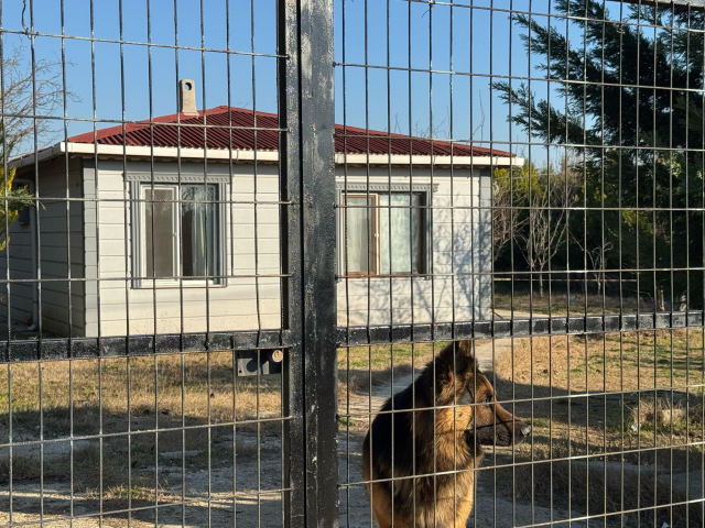 Emekli polis, tartıştığı eşini eşarpla boğdu