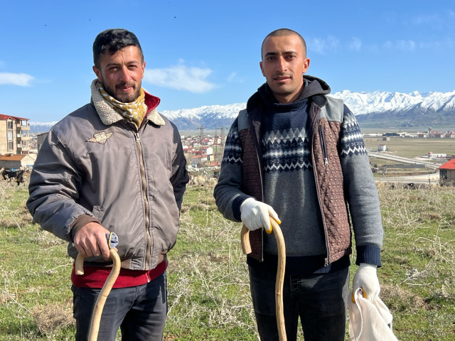 70 bin TL maaşla çoban bulamayan köylüler, sırayla hayvanları otlatıyor