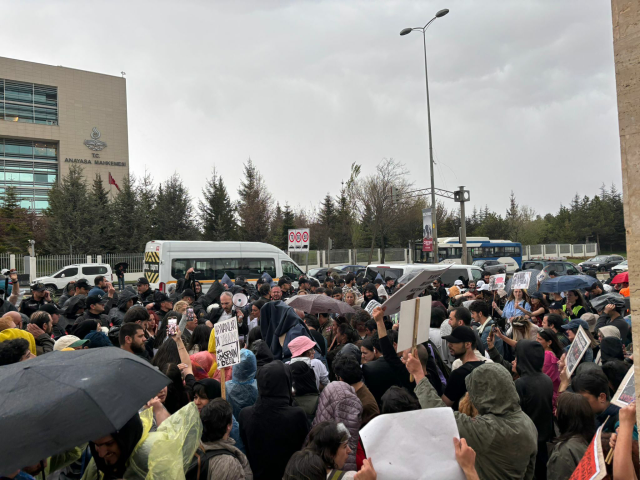 Sokak hayvanları kararı sonrası hayvanseverler AYM'nin kapısına dayandı