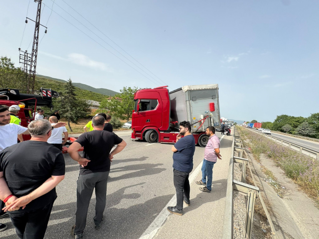 Bir arı trafiği birbirine kattı