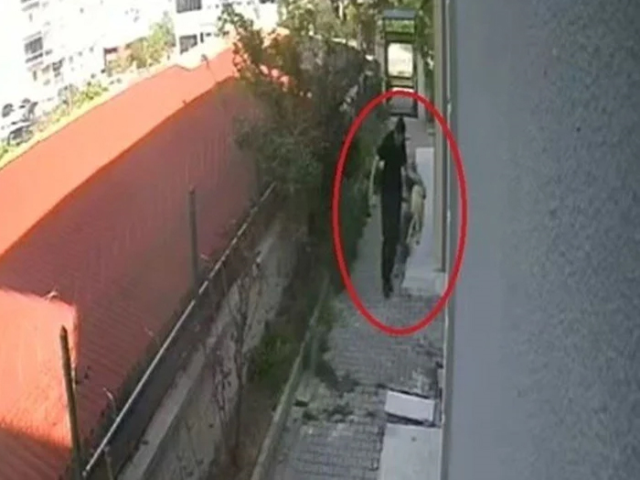 Doktorla ilgili iddianame hazır! Evine aldığı köpeklere istismarda bulunmuş